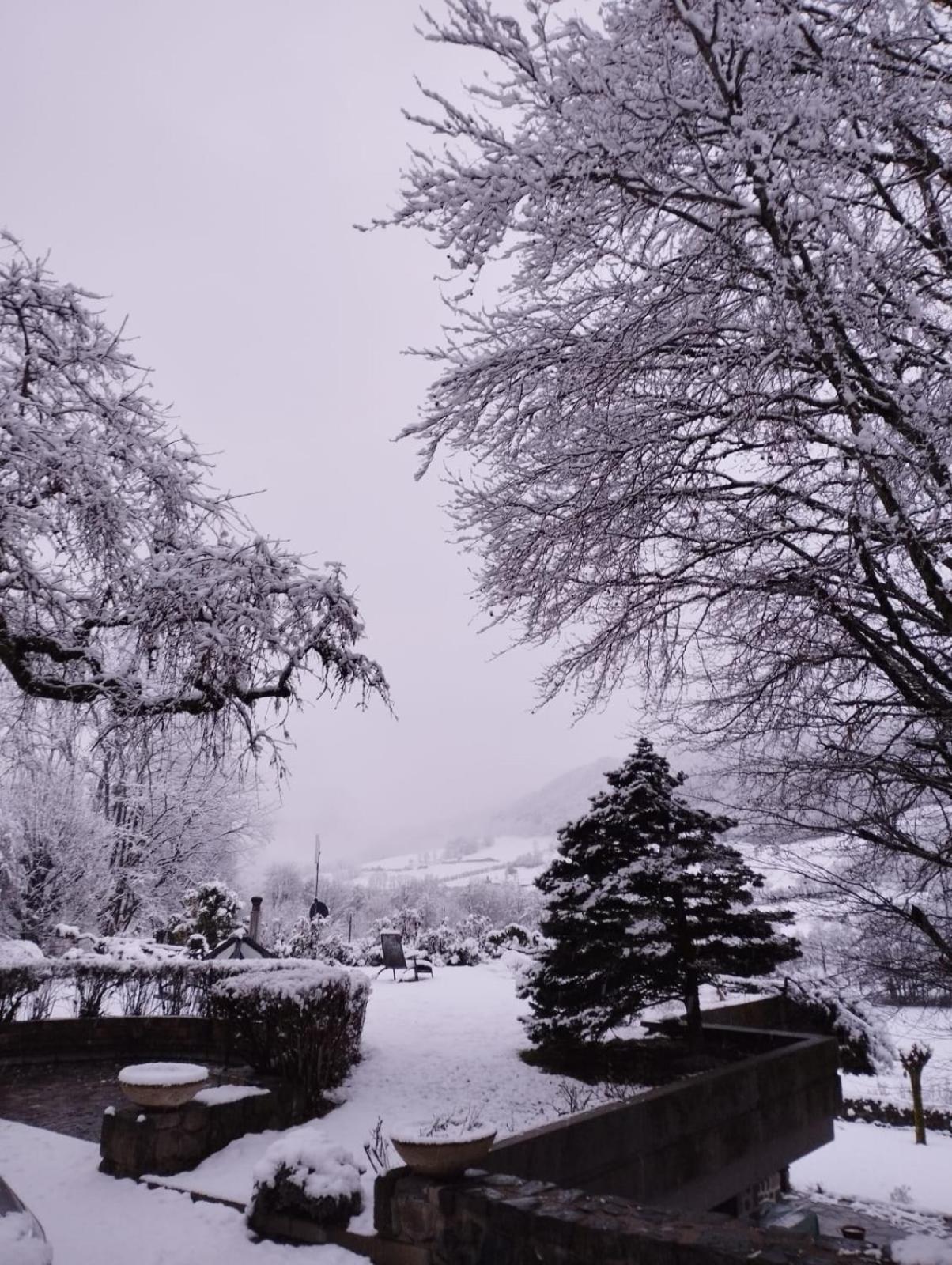 Chambre D'Hote La Maronne Dans Le Cantal Saint-Martin-Valmeroux Εξωτερικό φωτογραφία